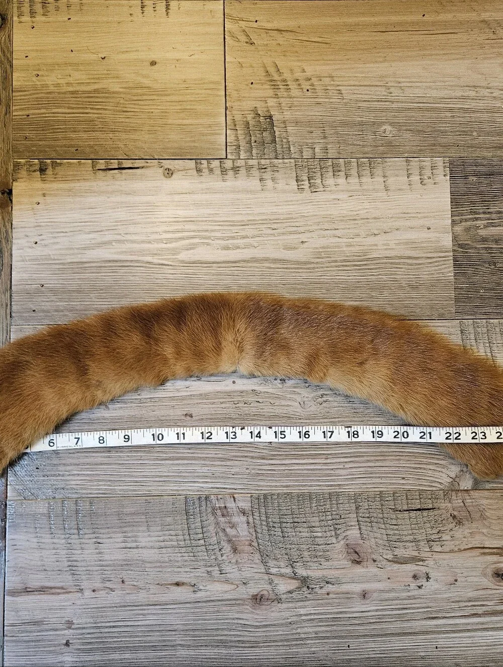N/A vintage fox